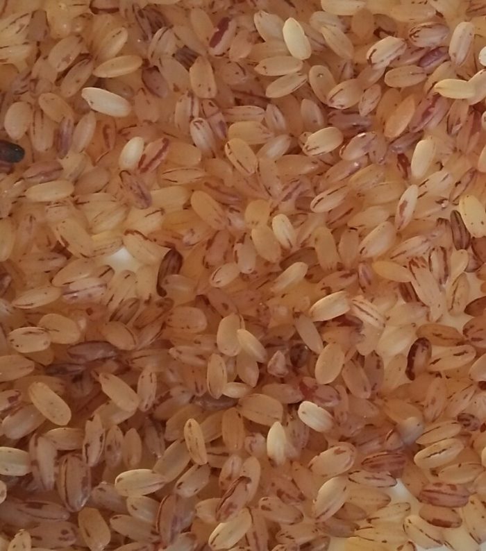 Onam Short Grain Matta Rice – E C Onam